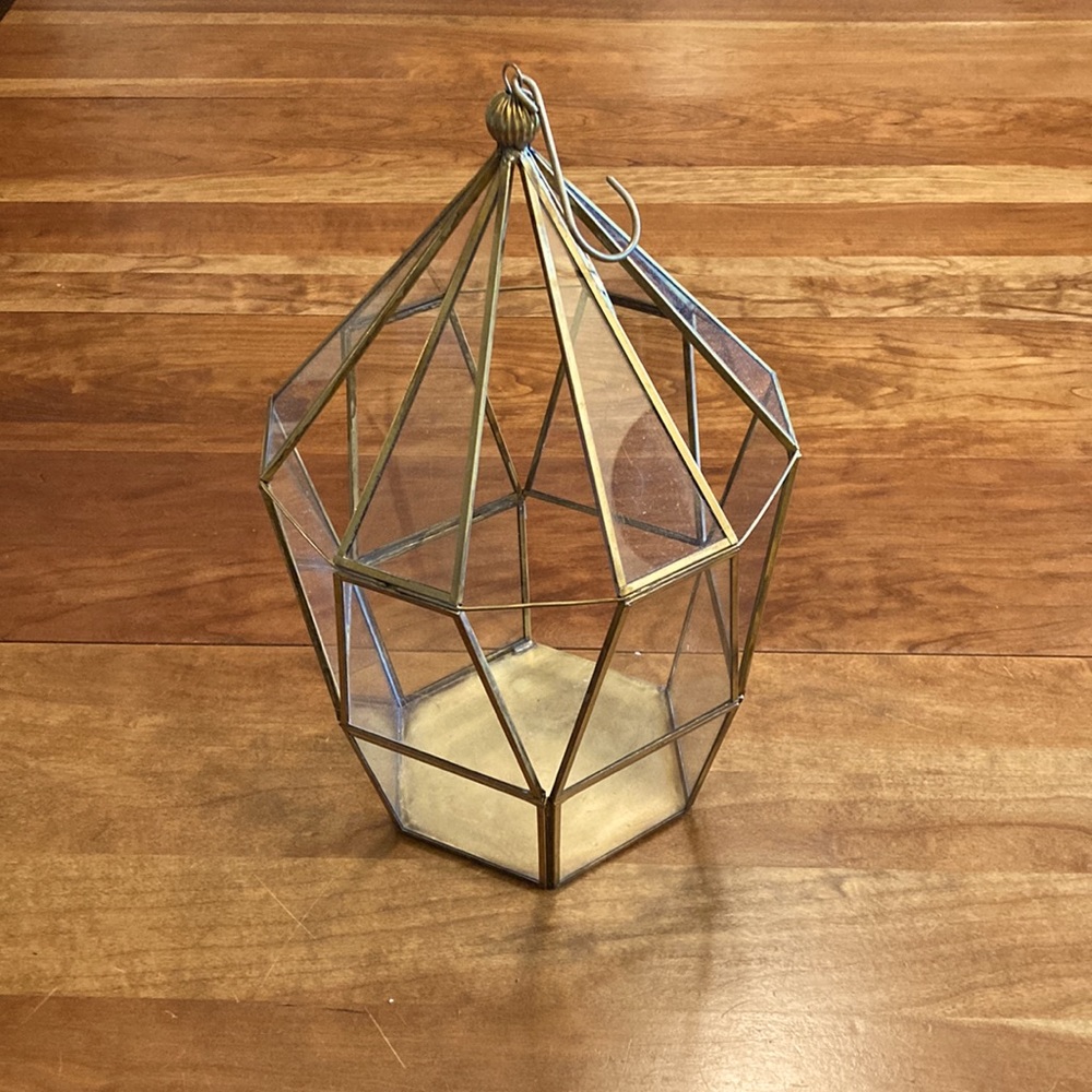 Geometric Glass Terrarium With Brass Edging